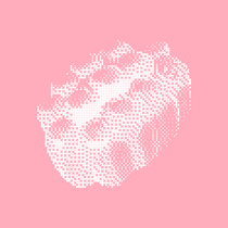 (BEAN LIFE GIRL) CLOTHING SHIRT INSIDE Spot Clear Cabin Ultra Low Discount Low To Four Fold