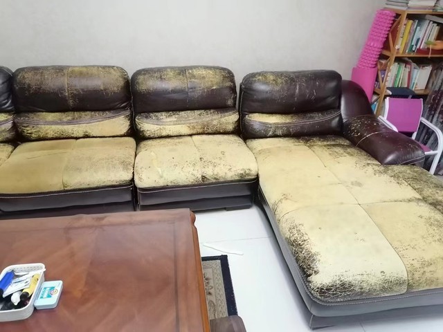 Ningbo Yinzhou ອາຍຸ sofa ສ້ອມແປງຫນັງ sofa ຫນັງທົດແທນການເສຍຫາຍການສ້ອມແປງການປ່ຽນສີ ບໍາລຸງຮັກສາເຟີນີເຈີ renovation