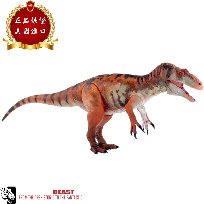 Beasts of the Mesozoic Mesozoic Era Beast Zhan's Allosaurus Movable Dinosaur Model 01383