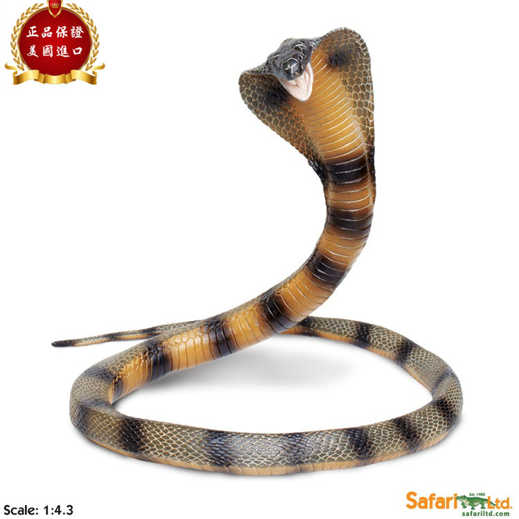 Safari Ltd Genuine Cobra Shapeable 91cm Realistic Animal Model Children's Toy 260329 Safari Ltd Genuine Cobra Shapeable 91cm Realistic Animal Model Children's Toy 260329