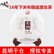 2016 Xiaguan Brown return Pu Pu ancient tree cake tea Puer Tea Raw Tea Qizi Cake Bubble cake 357 grams of cake