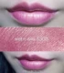 American wet n wild wnw wet and wild lipstick lip bẩn bẩn màu cam bí ngô màu máu bò 534B - Son môi bbia a5