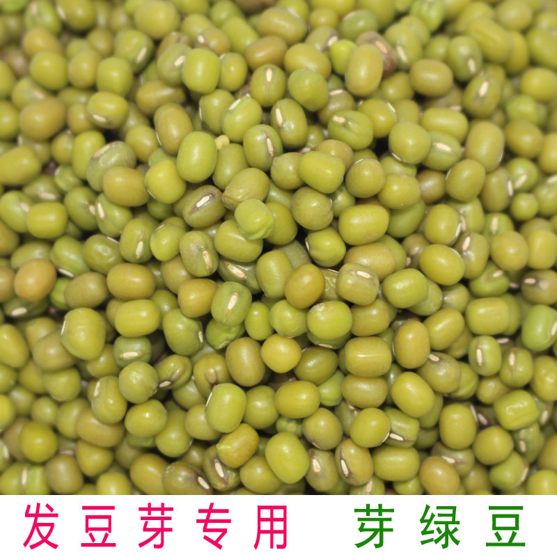 Green bean farmhouse self-produced Ming green bean 5 catty says can germinate fresh large grain green beans raw green bean sprout special