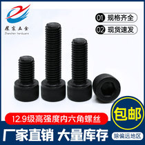 12 Grade 9 alloy steel hexagon screw DIN912 High strength hexagon screw M1 6M2M2 5M3M4
