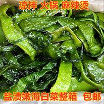 Fresh thick sea cabbage 8 5kg whole box of salted nepotle wakame non-dry goods kelp sea spinach