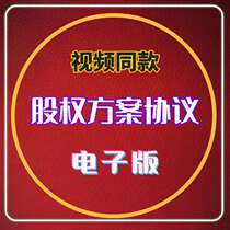 Equity Scheme Equity Agreement Equity Design Electronic Version Partner Equity structure