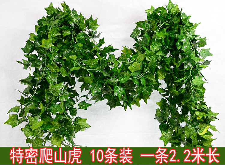Dây đeo mô phỏng cây hoa giả mây xanh lá trang trí nho nho treo cây xanh tường nhựa cây lá treo tường - Hoa nhân tạo / Cây / Trái cây hoa giả để bàn thờ