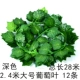 Hoa giả mây xanh lá nho trang trí nho treo cây xanh tường nhựa cây lá xanh hoa hồng treo tường mô phỏng cây - Hoa nhân tạo / Cây / Trái cây giá lan giả hạc rừng