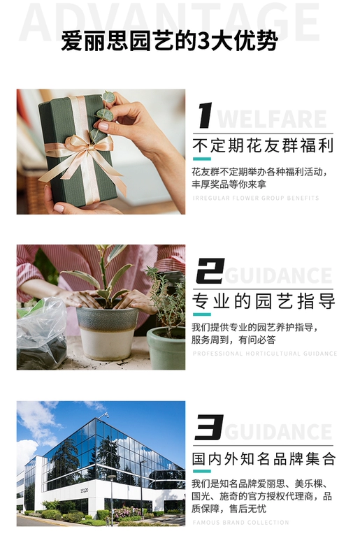 găng tay làm vườn Alice Melaka Chống Trơn Trượt Chống Đâm Chống Cắt Làm Vườn Bảo Hiểm Lao Động Găng Tay Chống Buộc Chống Mòn Thoáng Khí Găng Tay Cao Su găng tay làm vườn găng tay nhổ cỏ