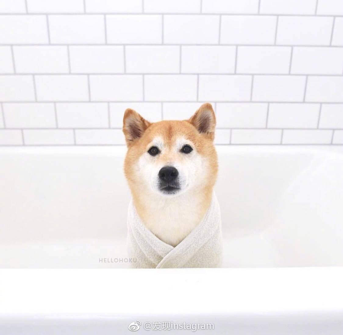 sevenbeauty deposit to make up the difference