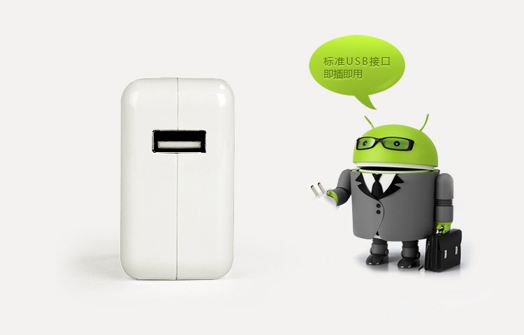 chargeur PISEN - Ref 1293054 Image 11