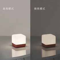 Flip the timer to turn off the night light Bedroom atmosphere light Baby bedside light Feeding net red sleep light Charging table lamp