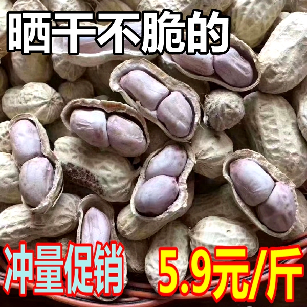 Guangxi Boiled White Peanuts in Salt Water Are Chewy and Not Crispy