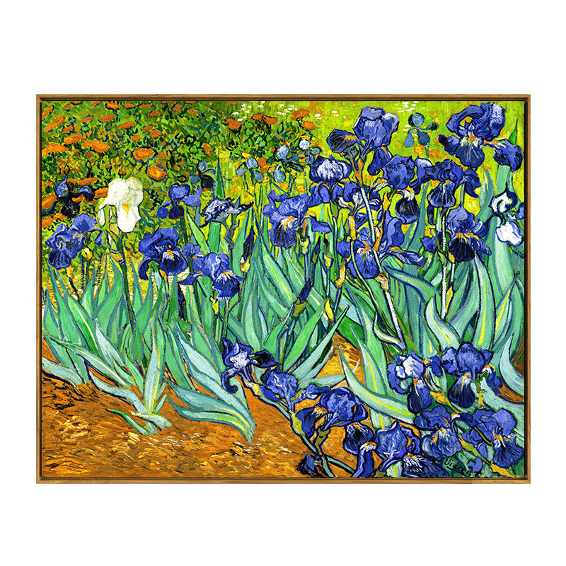 Глядя на картину ван гога ирисы представляешь будто сидишь что неправильно
