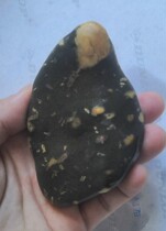 Plum blossom stone Zen stone original stone Luohe stone strange stone beauty appreciation collection