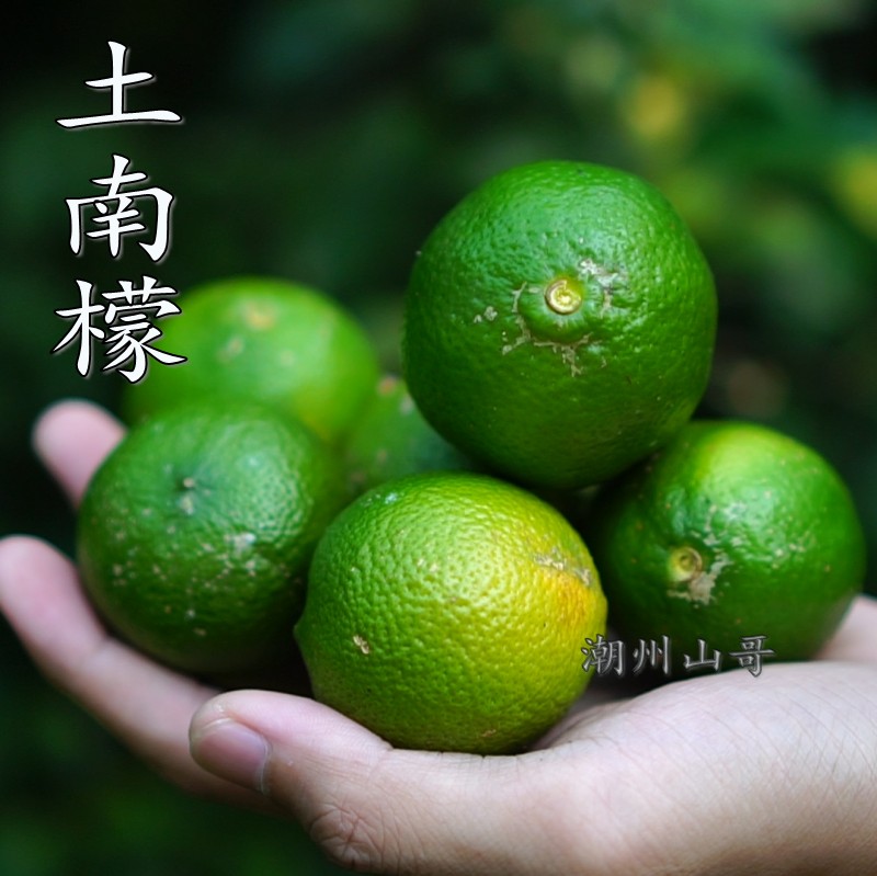 Chaozhou Mountain Gothic lemon lemon 7 Commercial Zhengzong Chaoshan Farm Fresh No Add Curing Bubblewater Lemon
