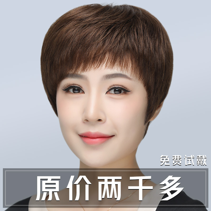 Full Head Wig for Women with Short Hair, Made of Real Human Hair, Invisible Natural Hairpiece for Middle-Aged and Elderly Ladies, Mom Style Full Head Wig for Women with Short Hair, Made of Real Human Hair, Invisible Natural Hairpiece for Middle-Aged and Elderly Ladies, Mom Style