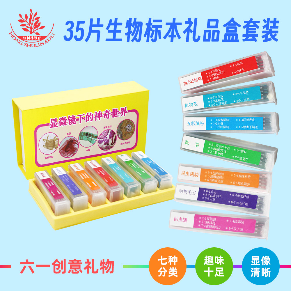 六一礼物生日礼物35片装儿童显微镜标本切片礼盒装科学实验益智