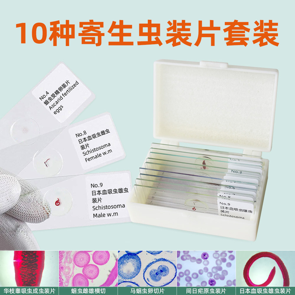 10片装寄生虫显微切片套装医学院高教科研用寄生虫显微镜标本切片