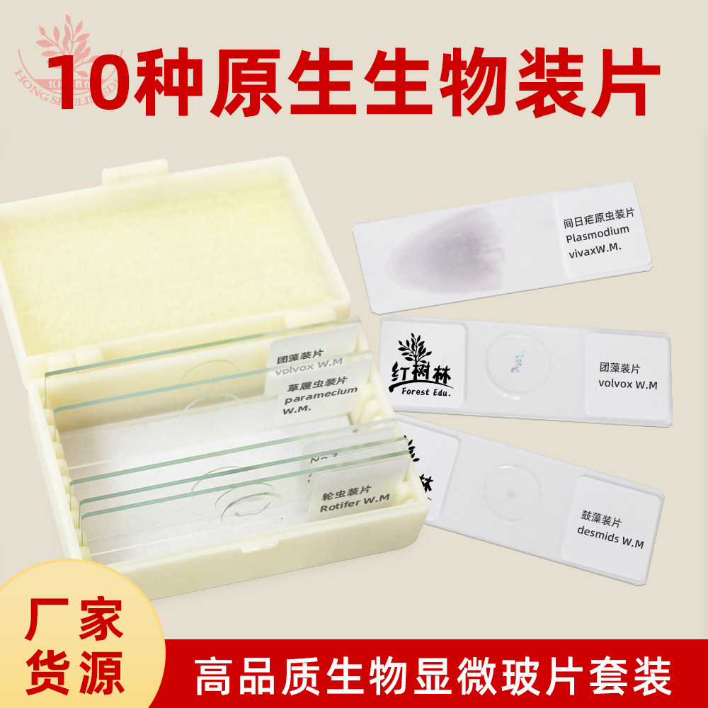 10种原生动物装片含变形虫钟虫轮虫团藻鼓藻显像清晰生物显微玻片