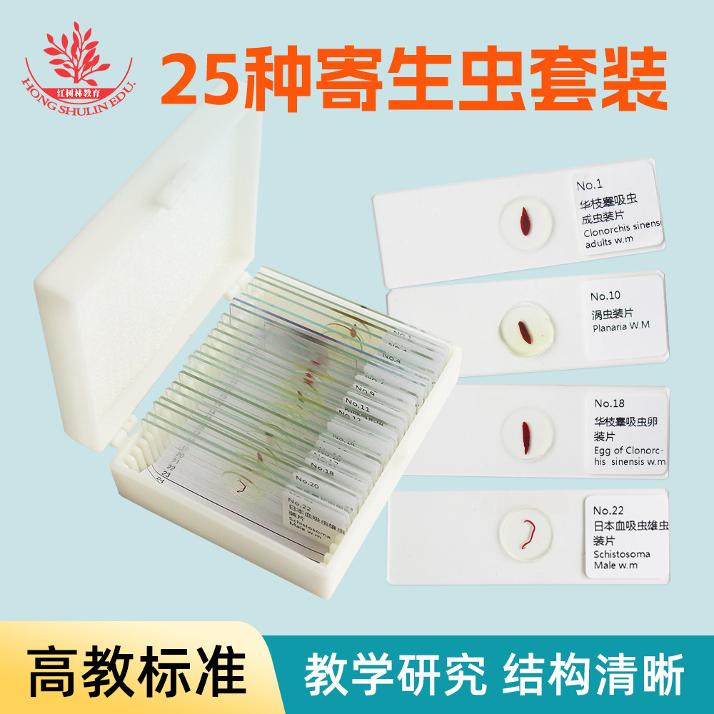 25片装寄生虫学显微镜标本切片高教标准标本清晰寄生虫生物玻片