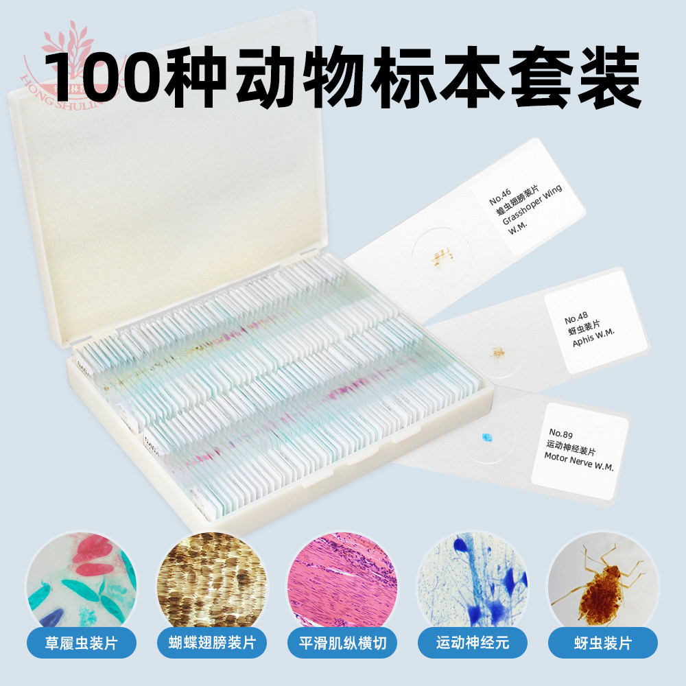 100片动物类生物显微镜标本切片学生实验观察教学讲解动物昆虫等