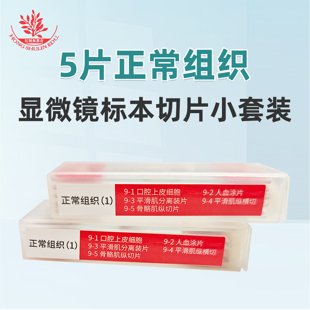 五种人体组织玻片小套装玻片清晰易观察显微镜配套用生物标本切片