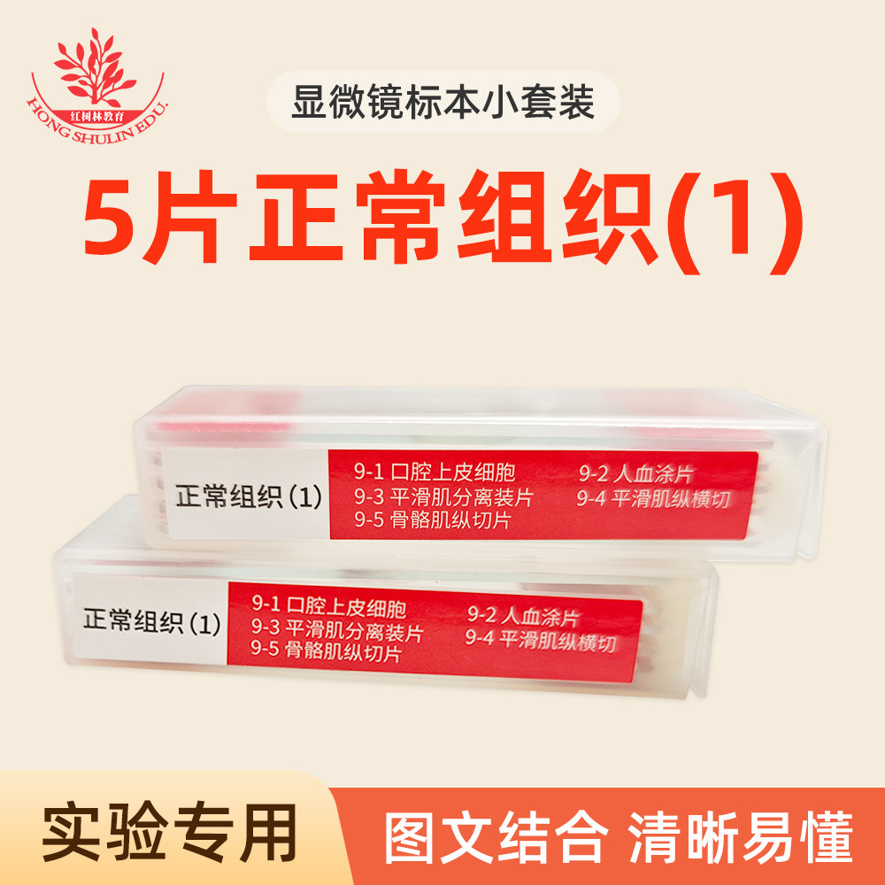 5片正常组织玻片小套装生物教学观察用显微镜玻片清晰易观察