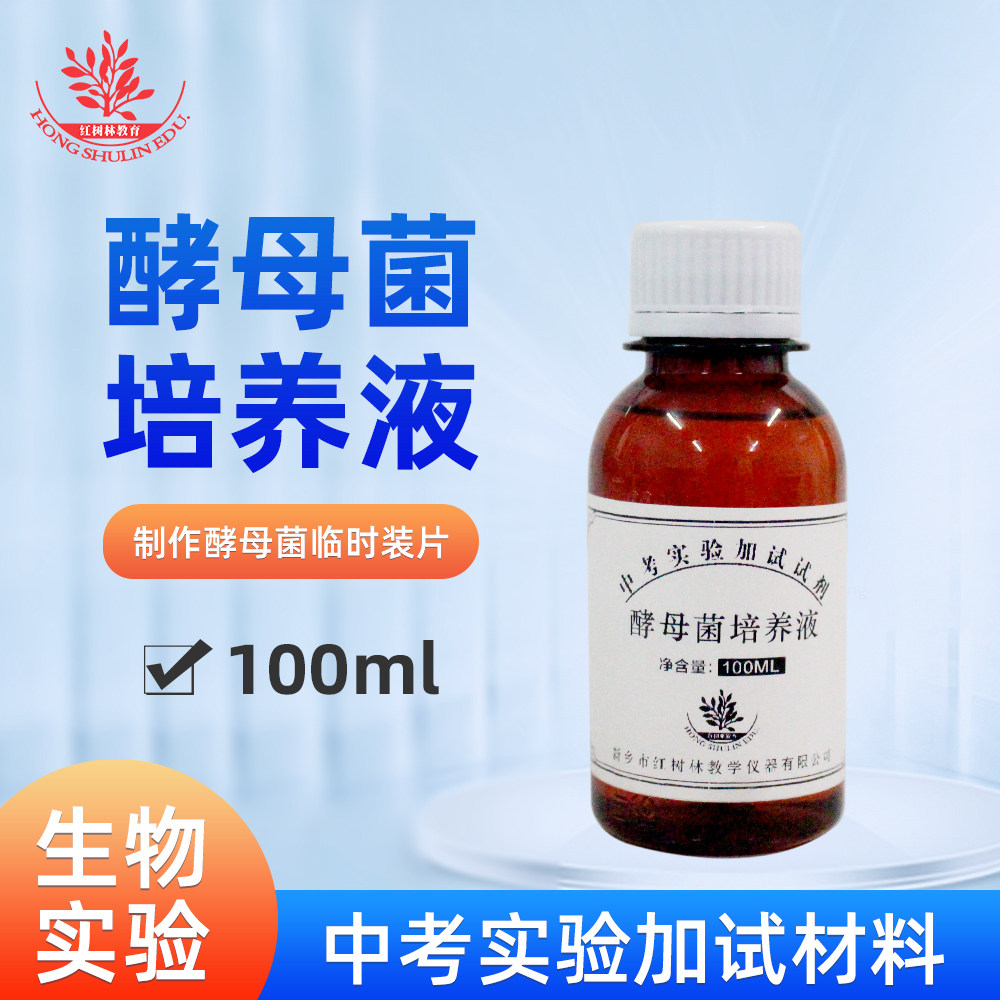 酵母菌培养液稀碘液制作酵母菌临时装片洋葱表皮染色生物实验材料