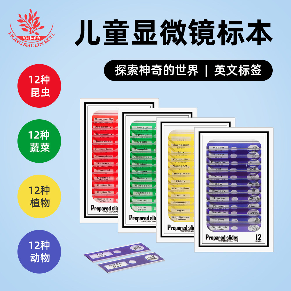 儿童显微镜观察玻片创意科学实验红黄蓝绿共48片装塑料制生物切片