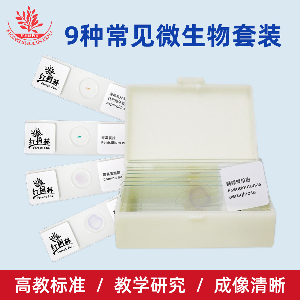 9种常见微生物细胞显微镜标本套装高教标准医学院教学研究用玻片