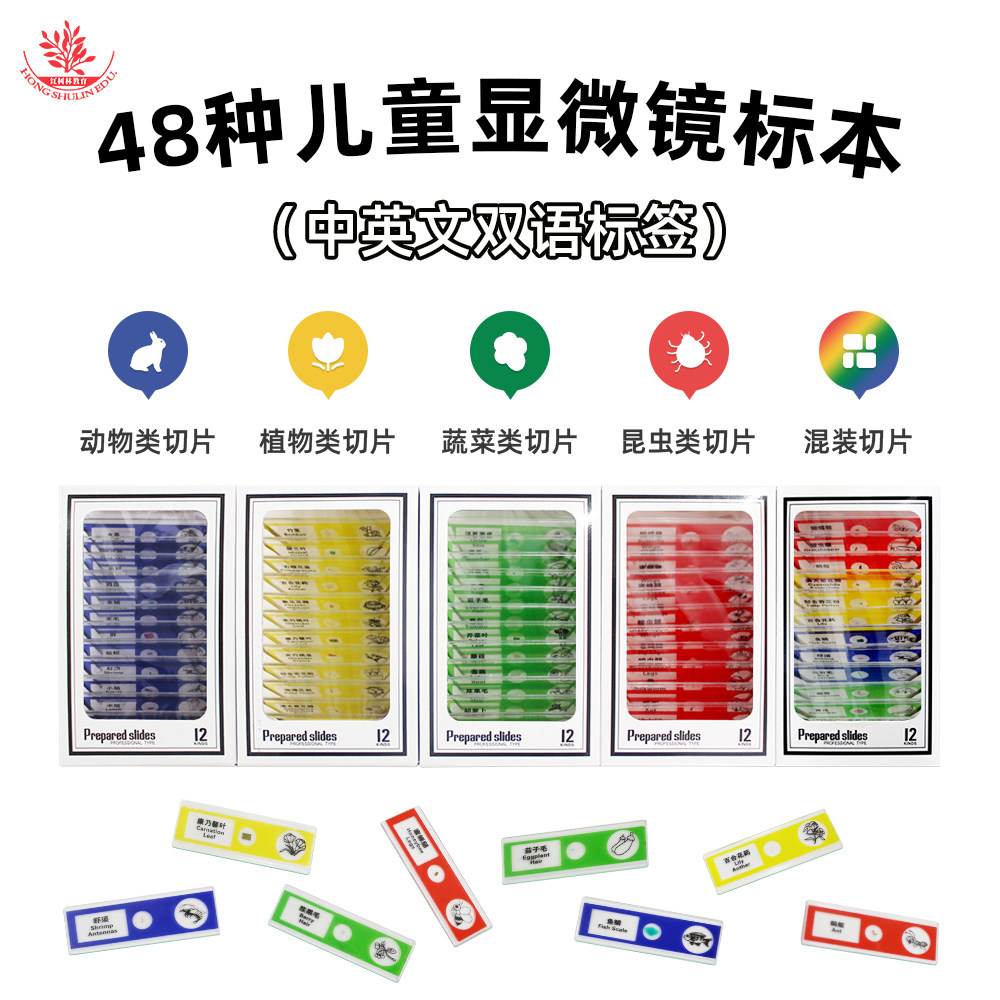 48片塑料制生物切片儿童显微镜配件益智科普玩具动植物昆虫花卉