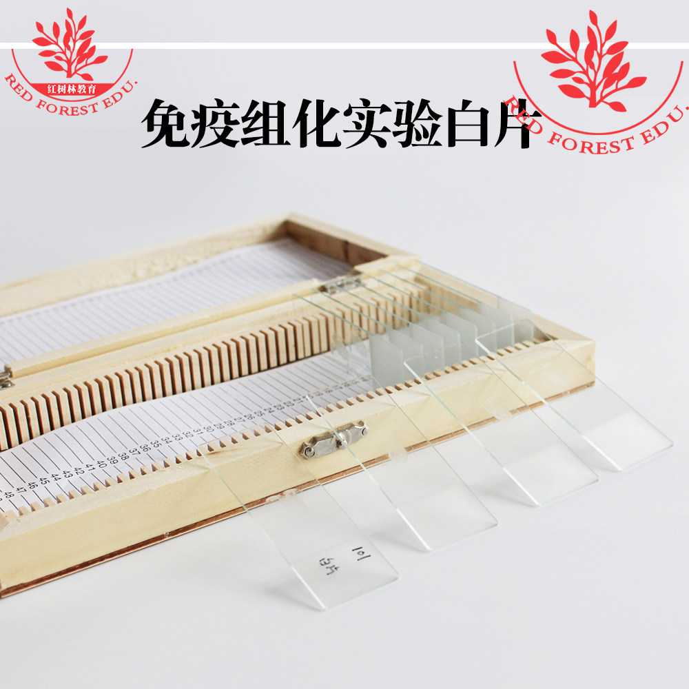 科研生物切片标本免疫学病理切片玻片标本免疫组化实验病理白片