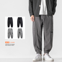 Loose pants mens spring and autumn winter Korean version of the trend loose size sports Joker tooling thick casual trousers