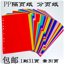 PP plastic paging paper Color a4 spacer paper 11-hole loose-leaf paper Classification paper 31-page file index paper label