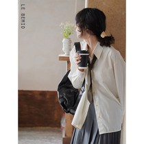 White drawing autumn light Firefly French simple temperament basic imported high cotton cream white embroidered shirt