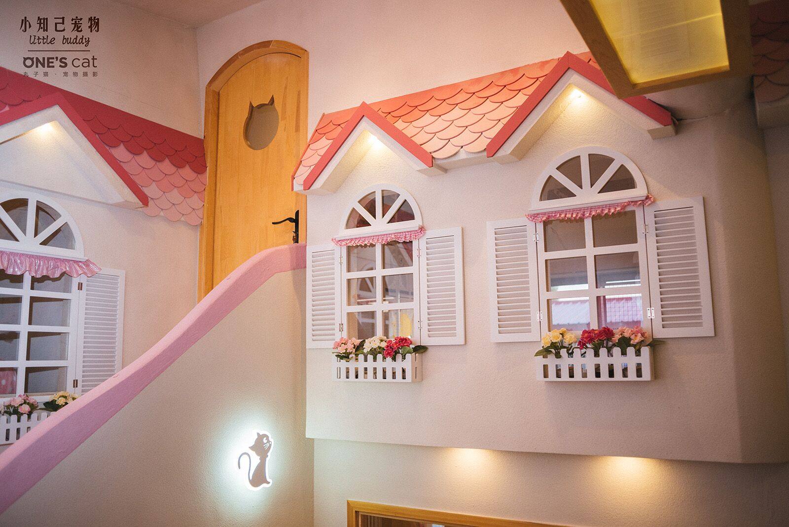 北京宠物寄养首选小知己，高端寄养+上门服务，让你的毛孩子安心度假！