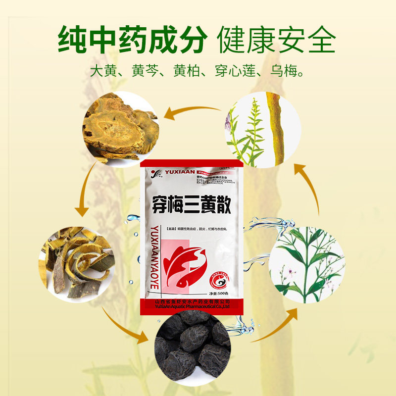 水产鱼药新突破:纯中药穿梅三黄散,抗病毒杀菌消炎解毒出血全搞定!-水族药品药剂-淘宝百科网