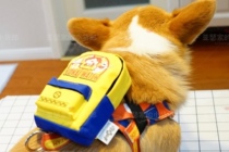 Foreign trade Wandai Demonic Watch Multifunction Mini-Bag Pendant Small School Bag Pet Self-Backpack can fit ten poop bag