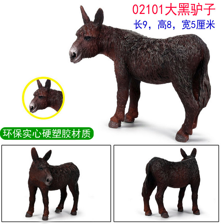 /
