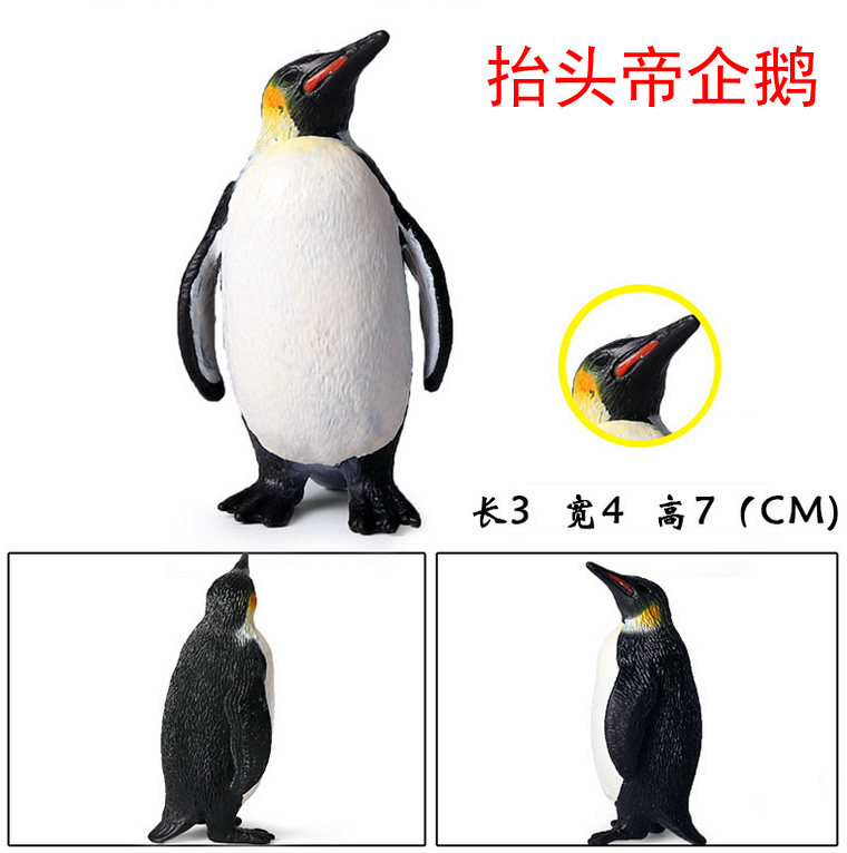 /
