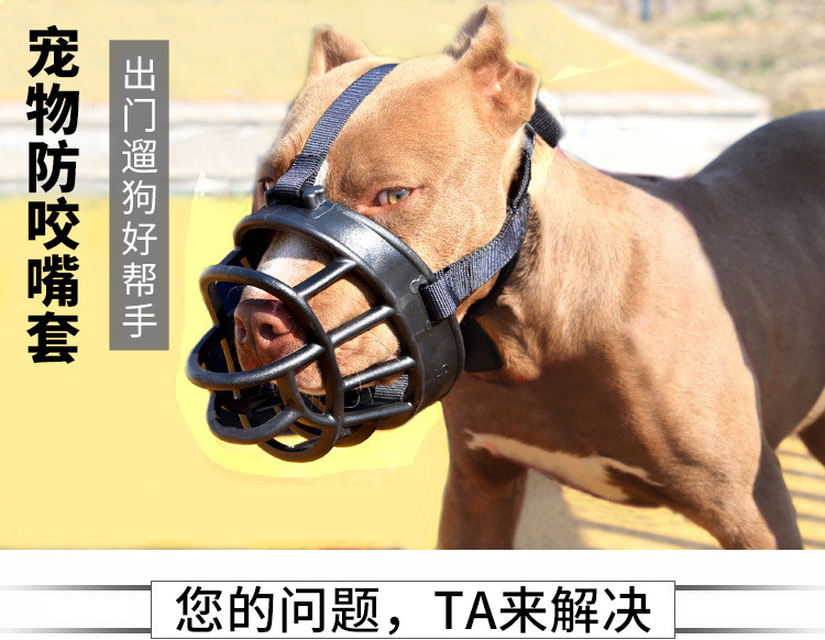 Неизвестно -1_01.jpg