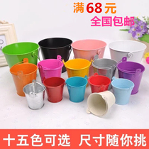 Stainless steel small iron bucket Gardening plant potted color mini size flower arrangement Candy color flower bucket iron bucket