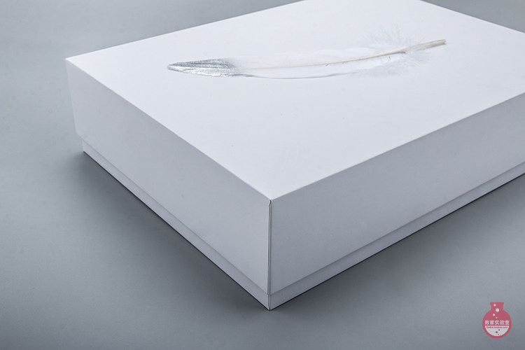 Подарочная коробка 【败家实验室】礼轻情意重！败家·礼品包装服务 节日|生日礼物