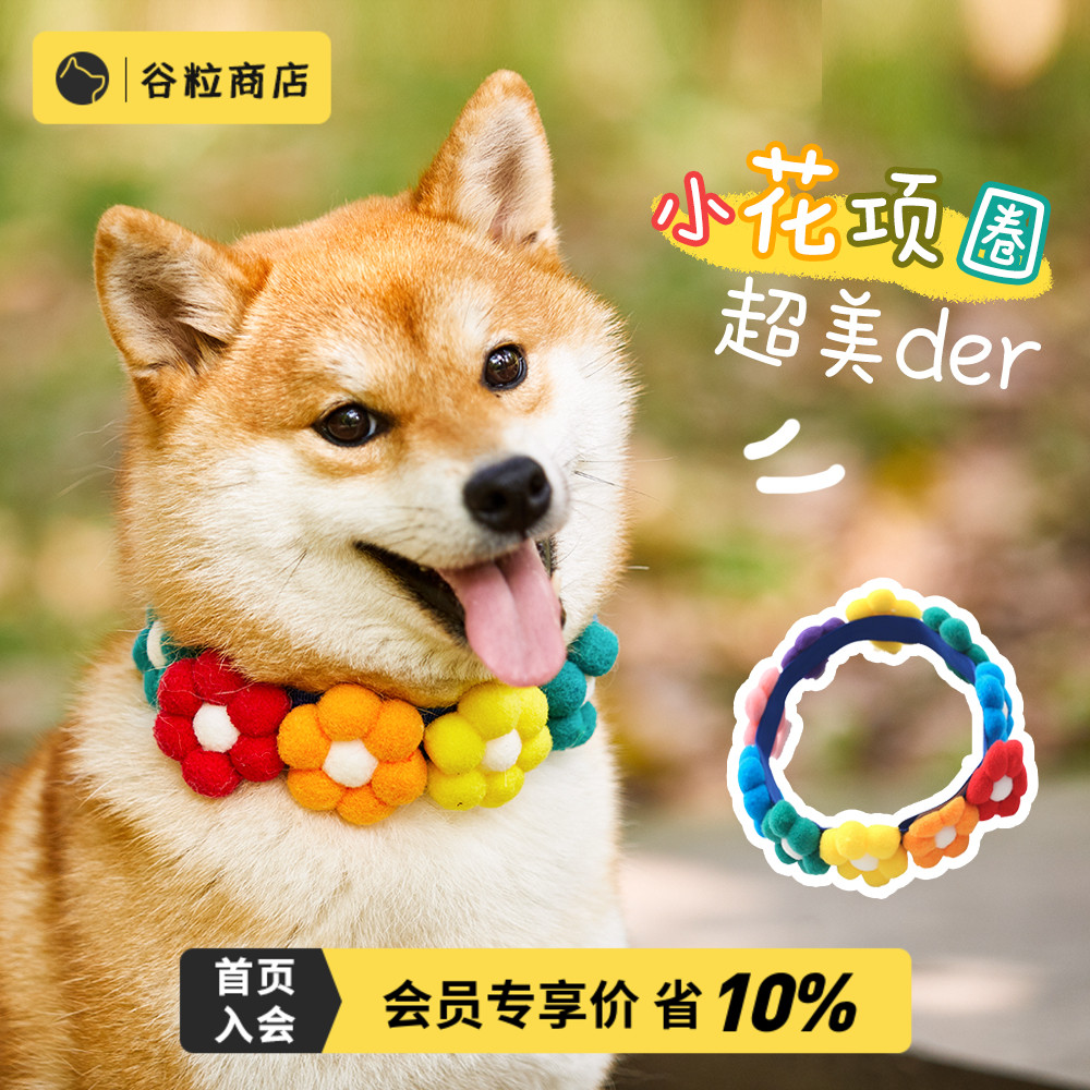 Grain store rainbow flower collar pet Shiba Inu accessories cat dog dog corgi teddy golden retriever collar collar