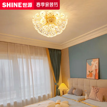 Fashion Nets Red New Suction Lights Personality Creativity Lamps Full Copper Rear Modern Light Lavish Petal Bedroom Light