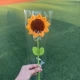 White-E12-Sunflower Deep Yellow Single Oncing Products