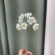 E25-ull Sky White Once Lond
