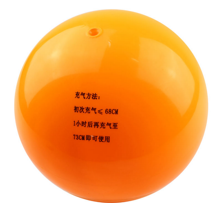 Ballon de volley - Ref 2007943 Image 9