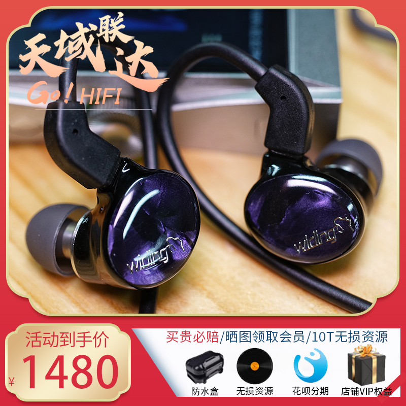 Spot widing zeng shock fever grade hifi in-ear music headphones 3D printing